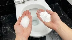 Sale e bicarbonato nel WC: perché gli idraulici lo consigliano e a cosa servono