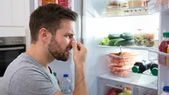 Il frigorifero profumerà di fresco senza prodotti chimici: basta una ciotola