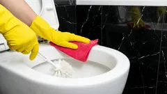 Gli addetti alle pulizie non te lo diranno: il metodo più semplice per far brillare di pulito il WC